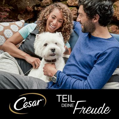 Cesar Feines im Frischebeutel Favoriten in Sauce 24 x 100 g
