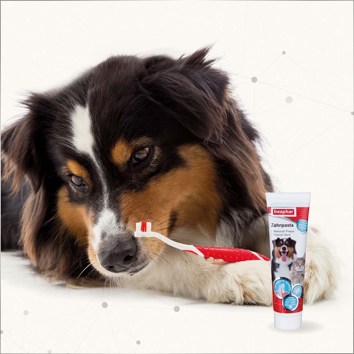 beaphar Zahnpasta für Hunde 100g günstig kaufen
