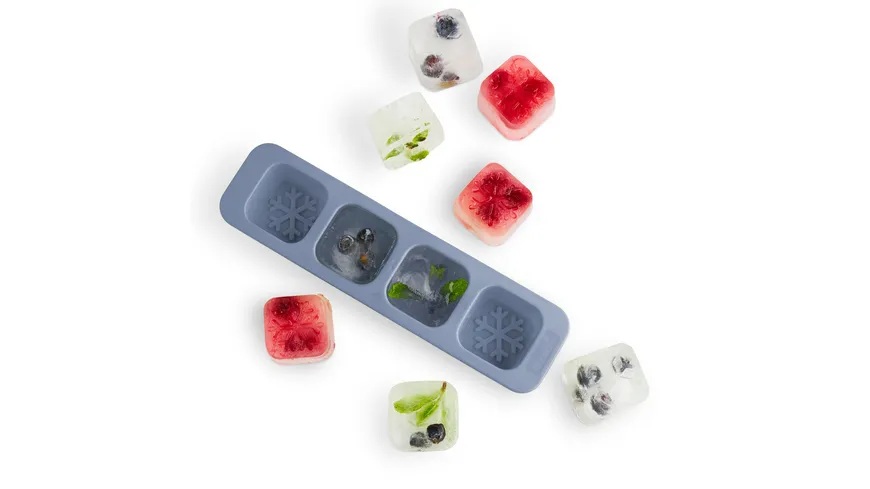 rotho Mini Gefrierdosen Set SOMINO 4-tlg. 0,05l horizon blue