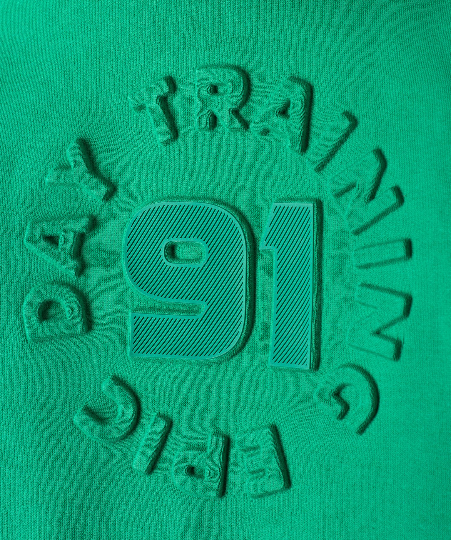 Sweat Garçon zippé à capuche, bandes colorées et motif e... vert | GEMO