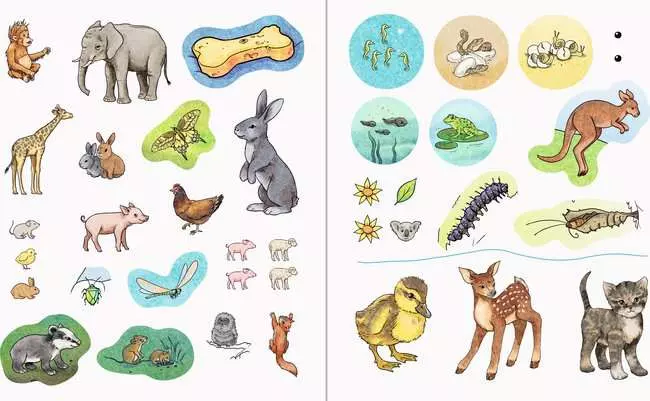 Ravensburger Wieso? Weshalb? Warum? aktiv-Heft: Tierkinder