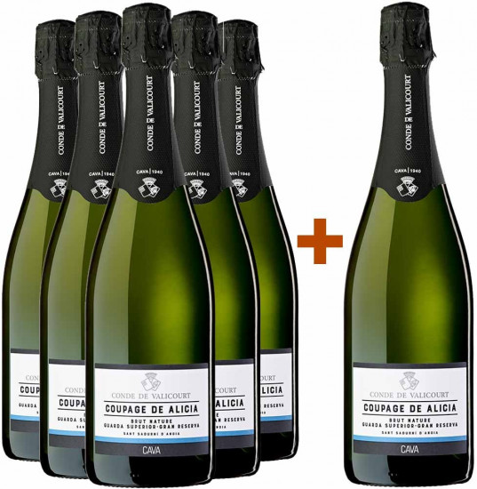 5+1 CAVA - Paket 