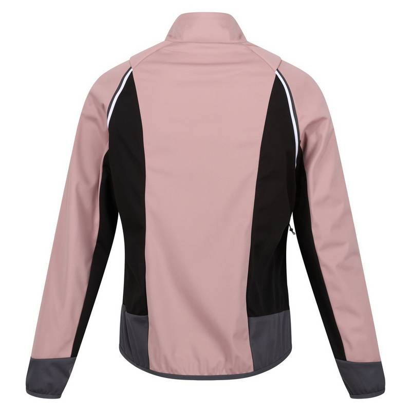 Regatta Steren Outdoorjacke Damen