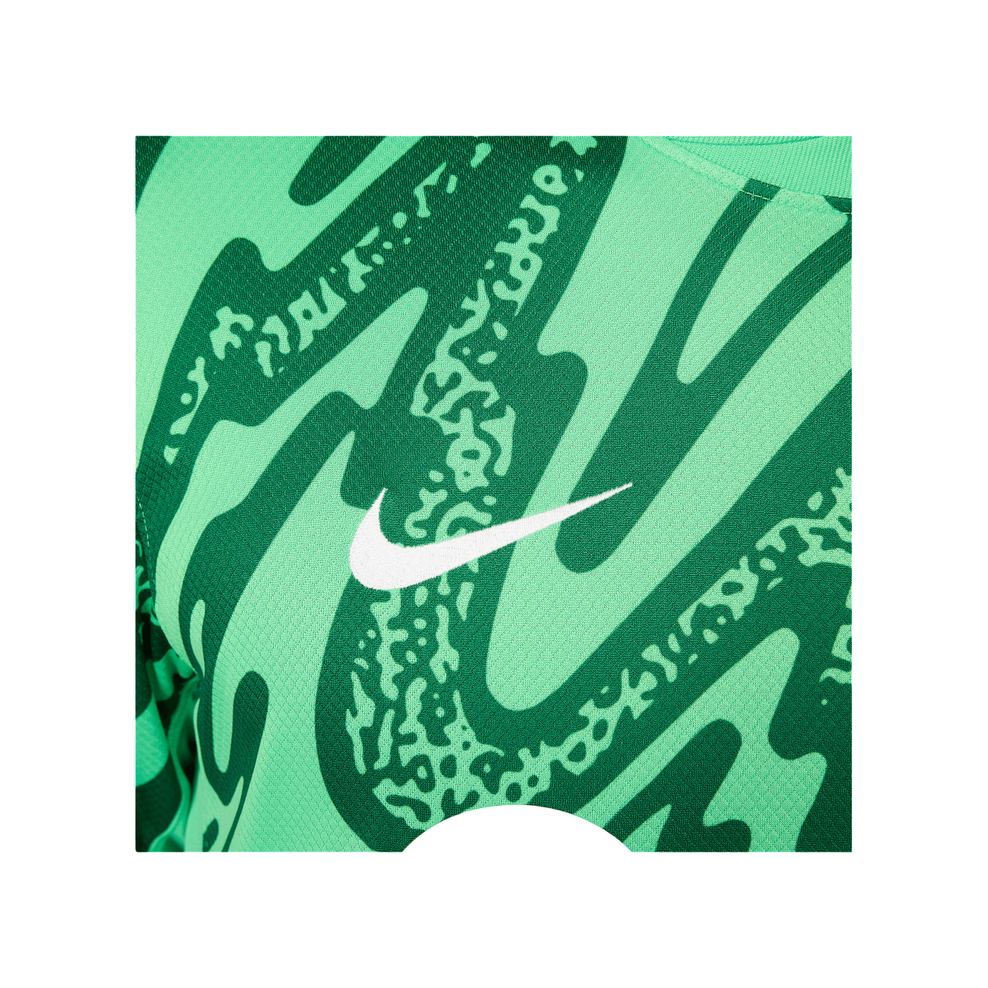 Nike FC Barcelona Langarm Torwarttrikot 2024/2025 Grün F329