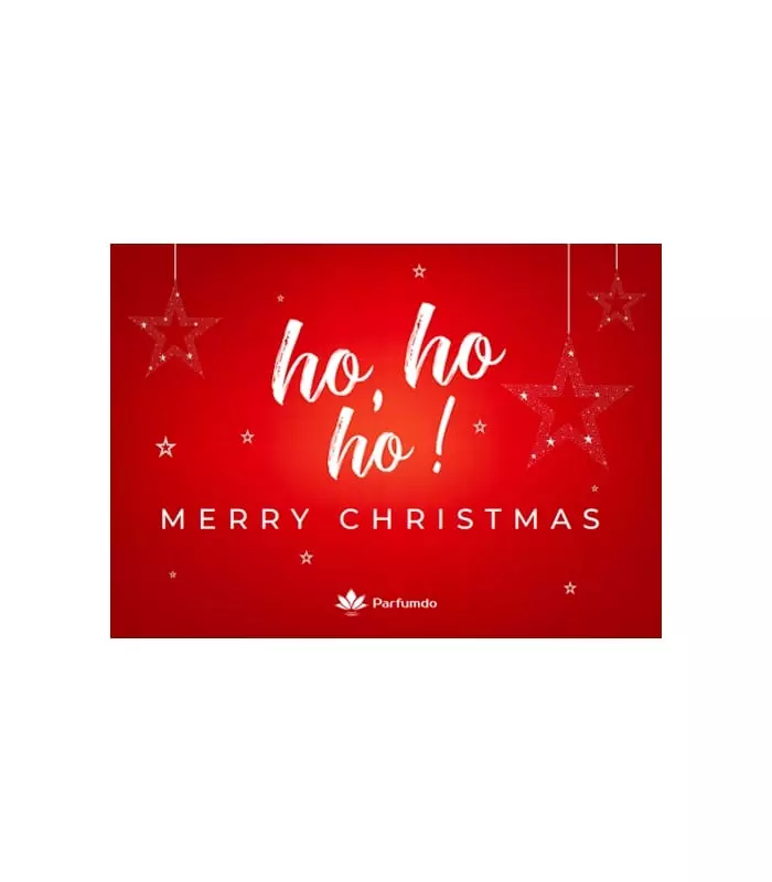 Christmas Card Flyer