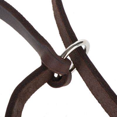 Heim Lederleine mit eingeflochtenem Karabiner, braun
