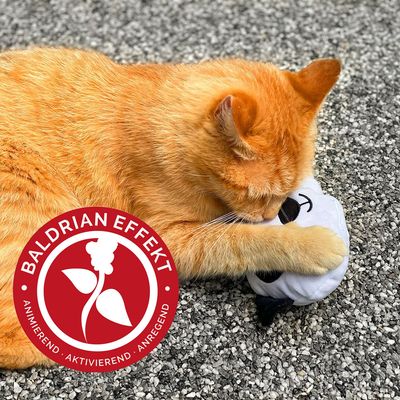 Aumüller Katzenspielkissen Panda Qi