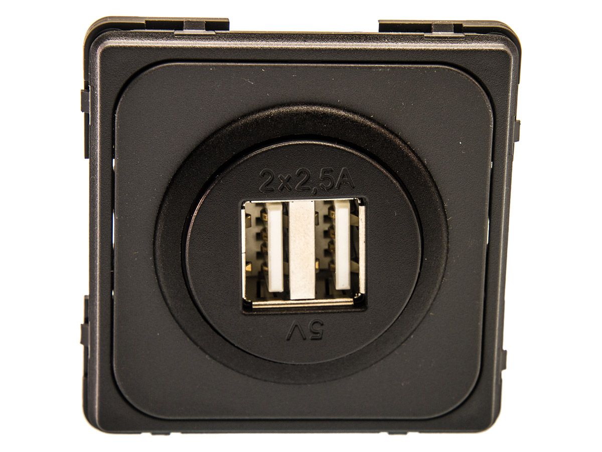 BBA doppelte graue USB Einbausteckdose