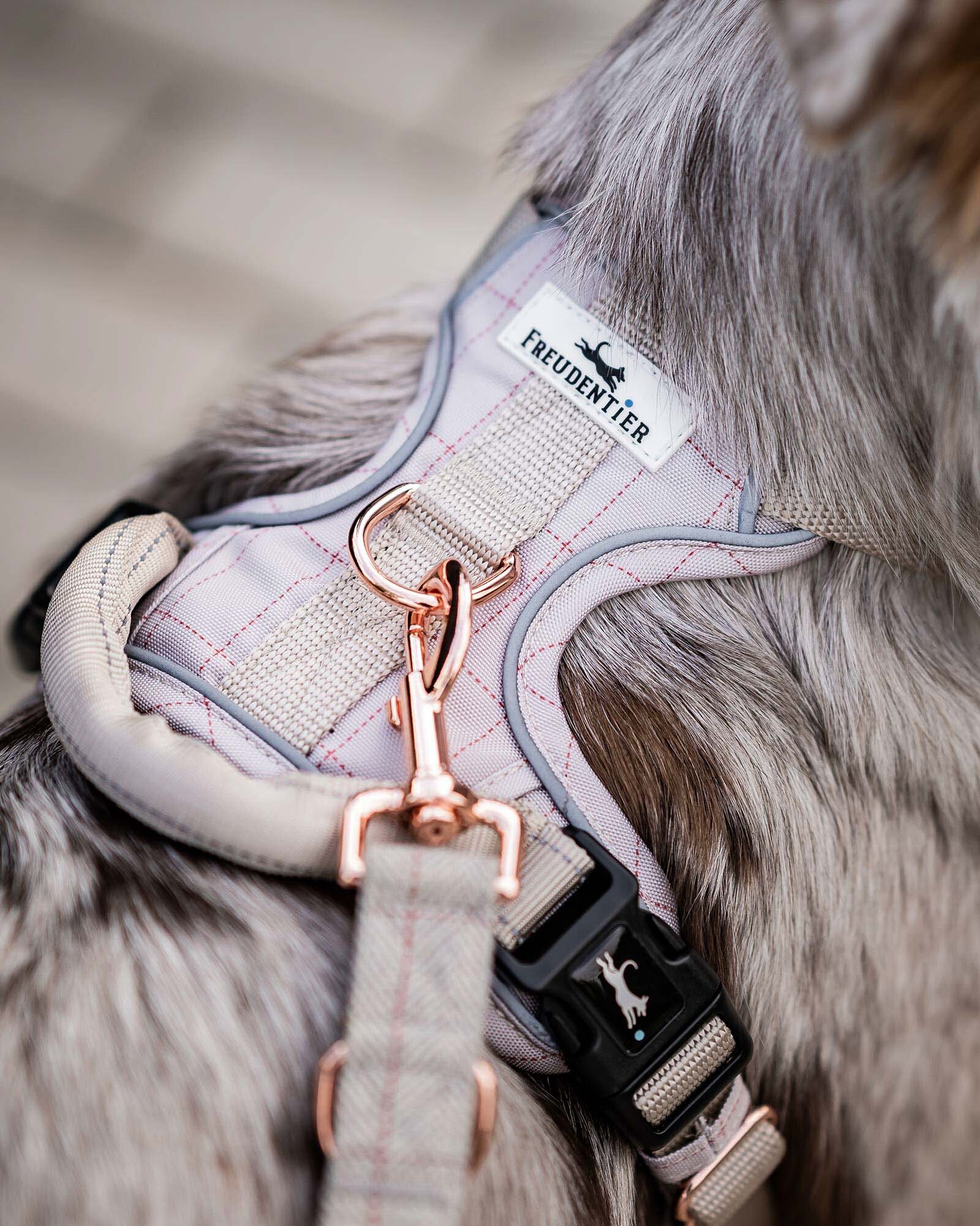 Freudentier Hundegeschirre Freudentier atmungsaktives Hundegeschirr XL