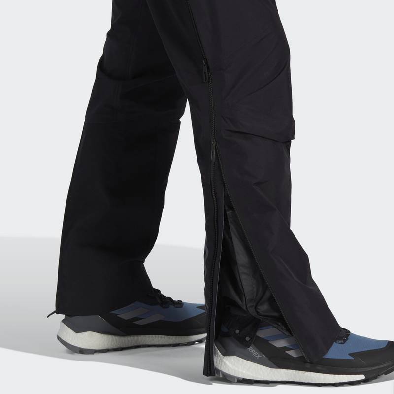 adidas TERREX Techrock GORE-TEX Pro Hose Wanderhose Herren