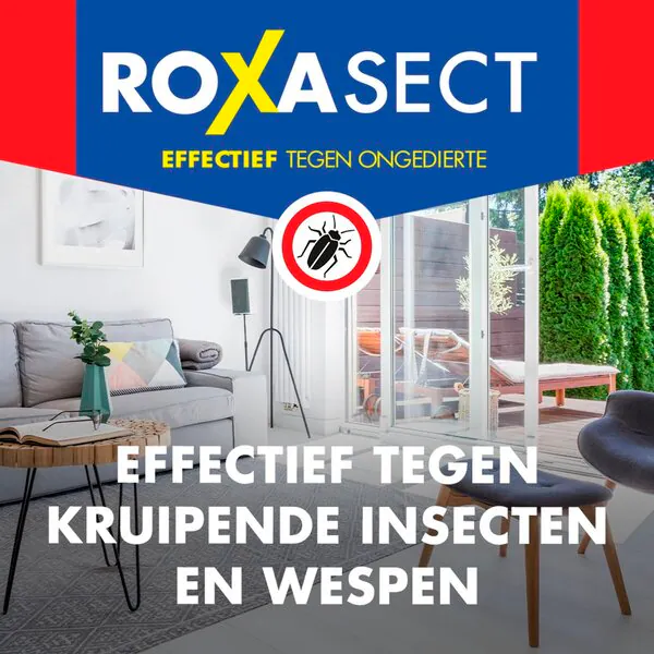Roxasect-suihke ryömiviä hyönteisiä ja ampiaisia vastaan 400ml