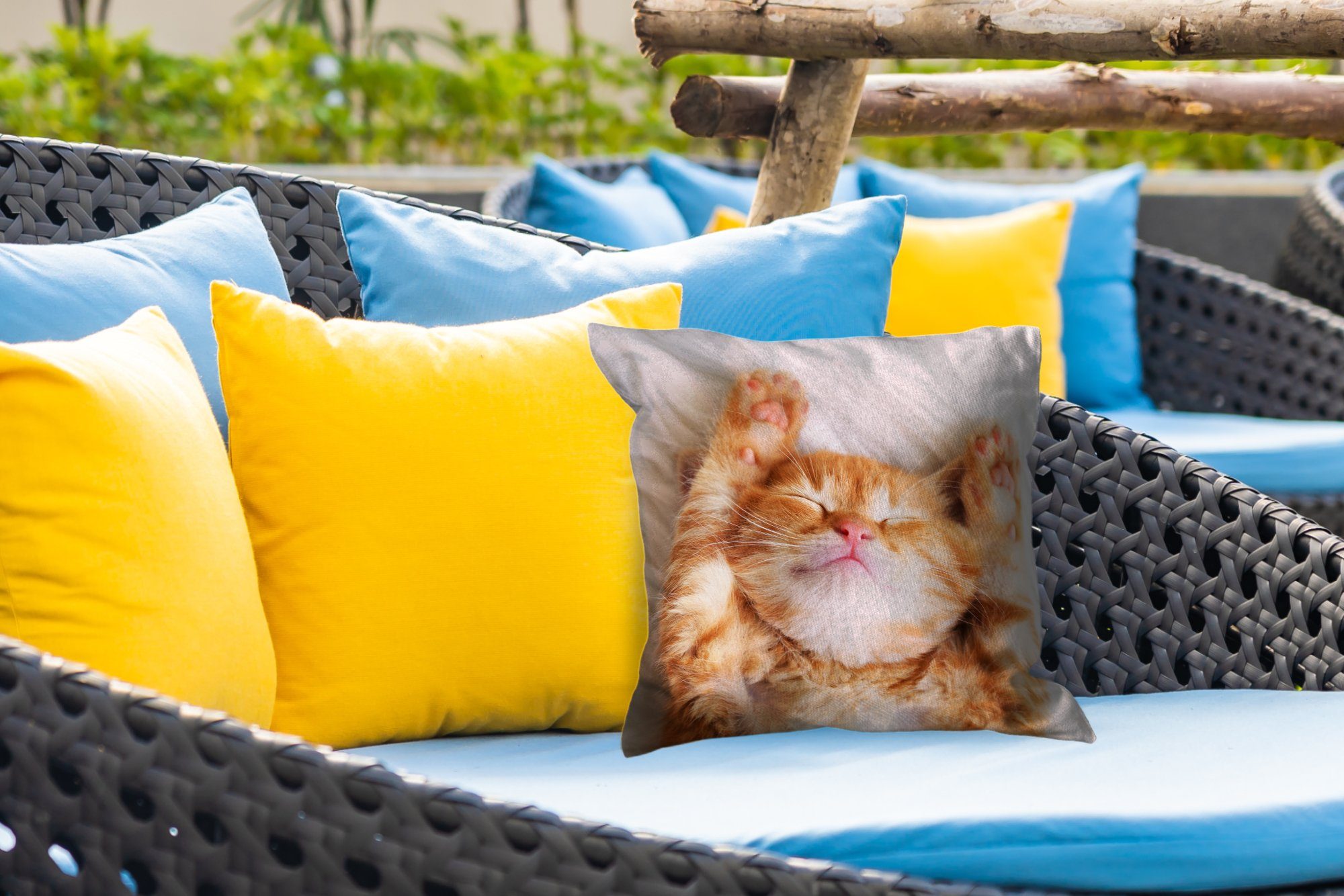 MuchoWow Dekokissen Katze - Rot - Haustiere - Kätzchen, Kissenbezüge, Kissenhülle, Dekokissen, Dekokissenbezug, Outdoor