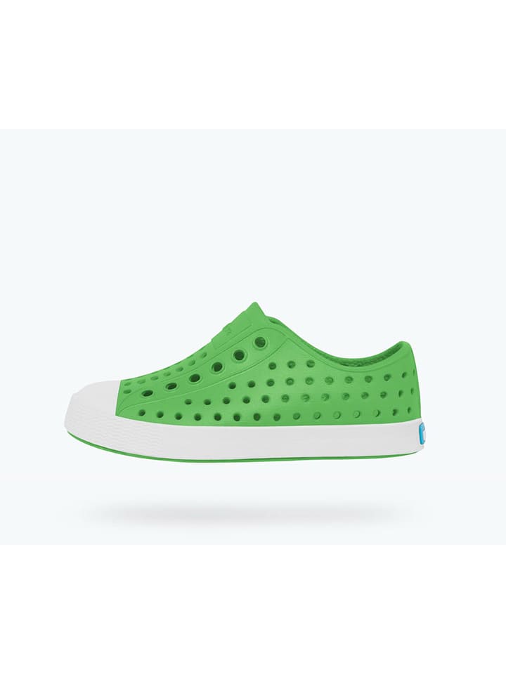 Native Slipper in Grün/ Weiß günstig kaufen