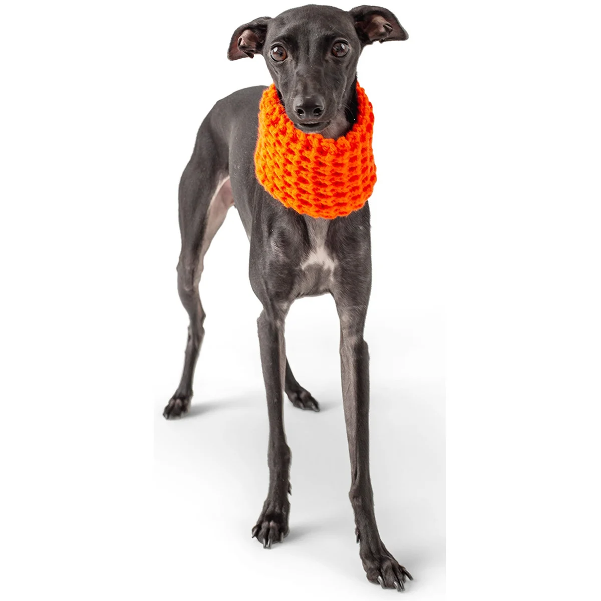 GF Pet Scout Schlauchschal orange günstig kaufen bei ZooRoyal