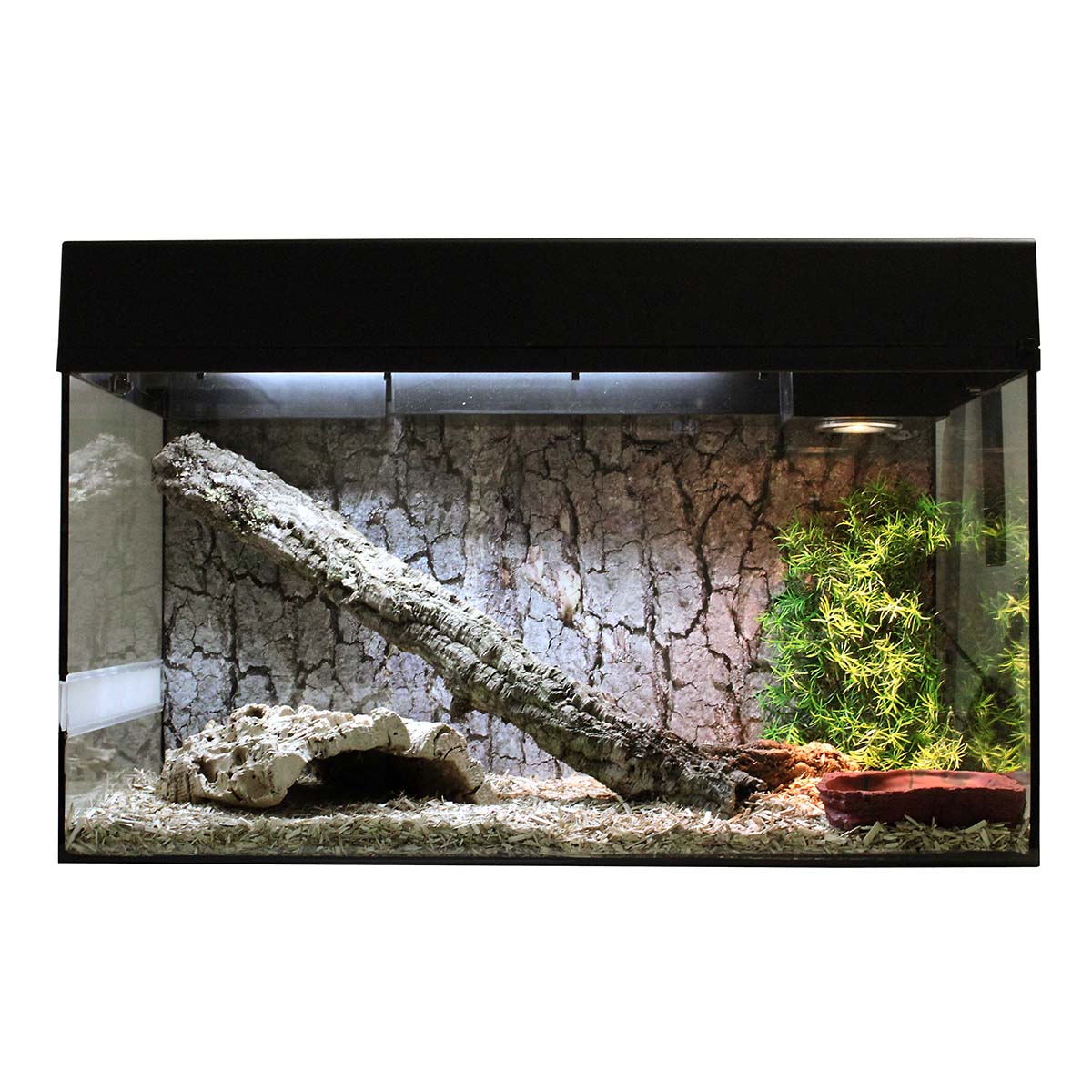 Lucky Reptile Terrarium Starter Kit 80 cm 