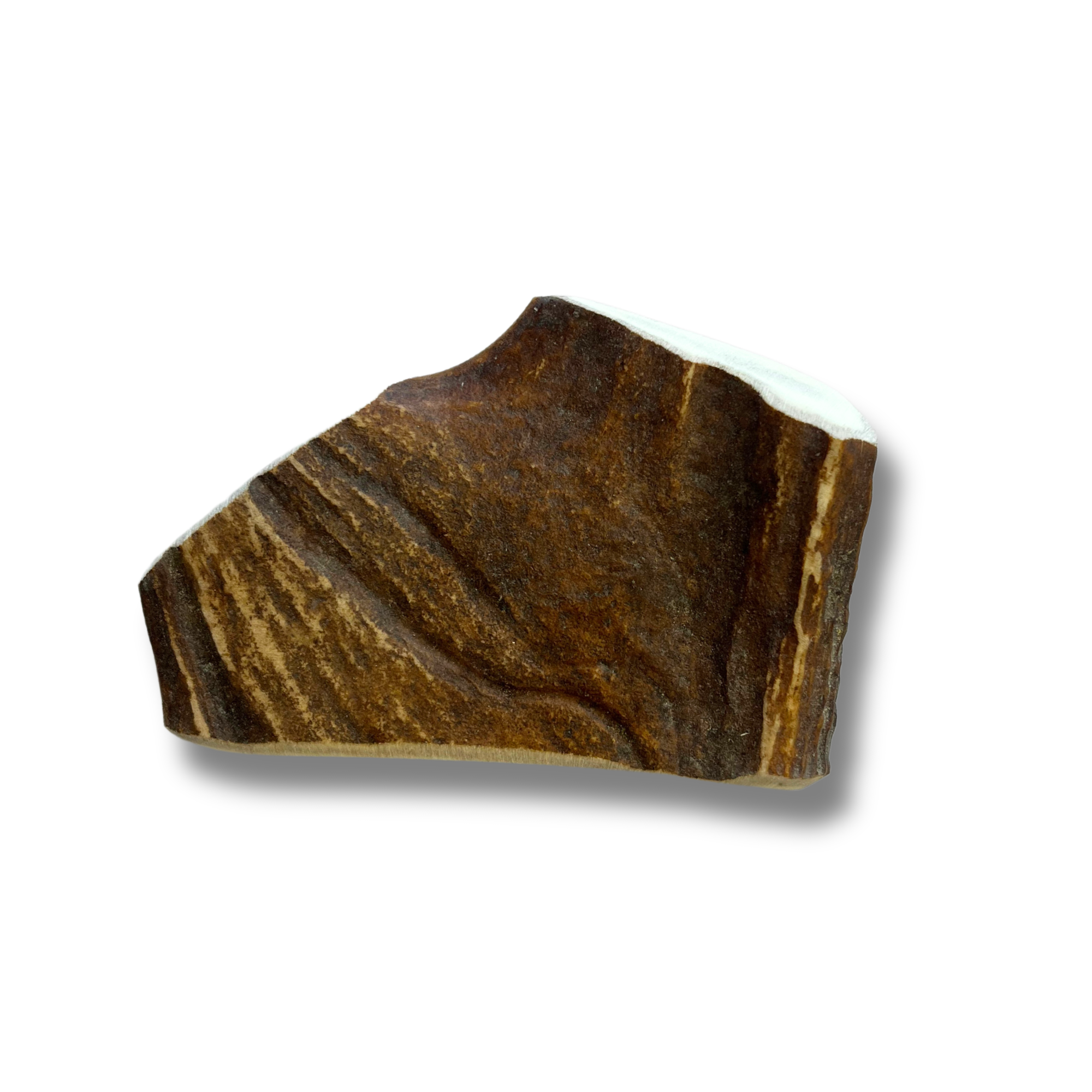 ChronoBalance Snacks ChronoBalance Elch Geweih Snack S