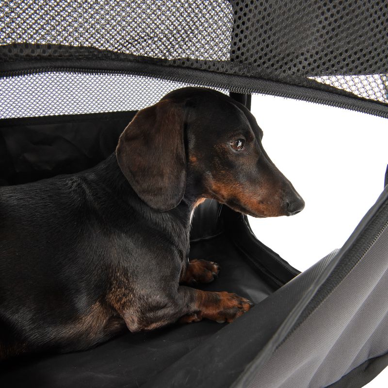Faltbare Hundebox Fiona zu TOP-Preisen
