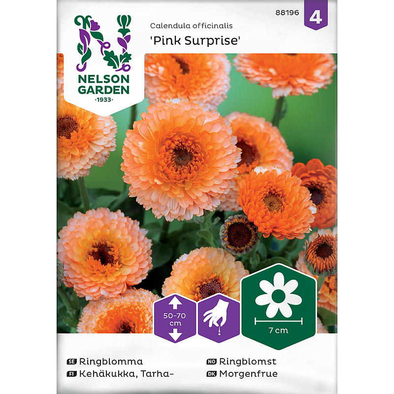 Nelson garden Frø Ringblomst Pink Surprise