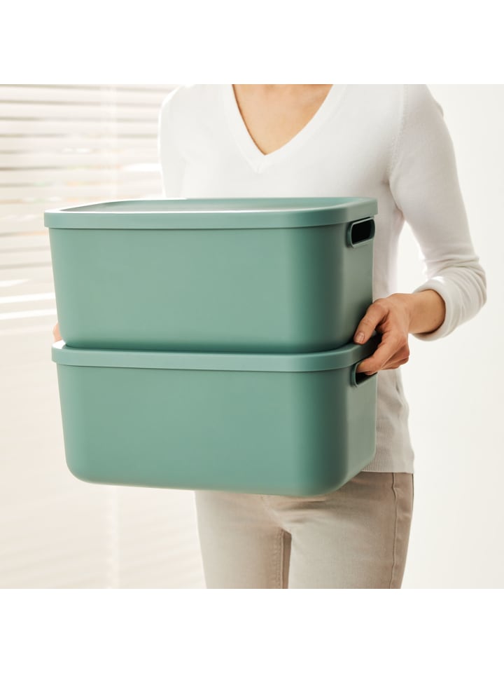Rotho Albula Light Kiste 12l mit Deckel in Mistletoe green günstig kaufen onesize