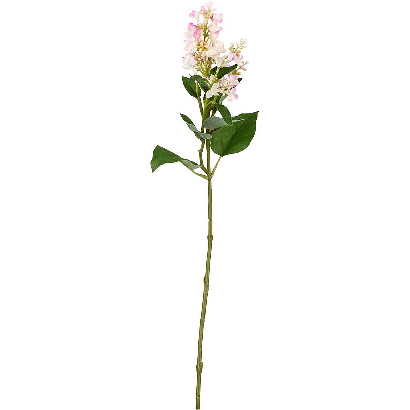 Home Syrinstilk 53 cm