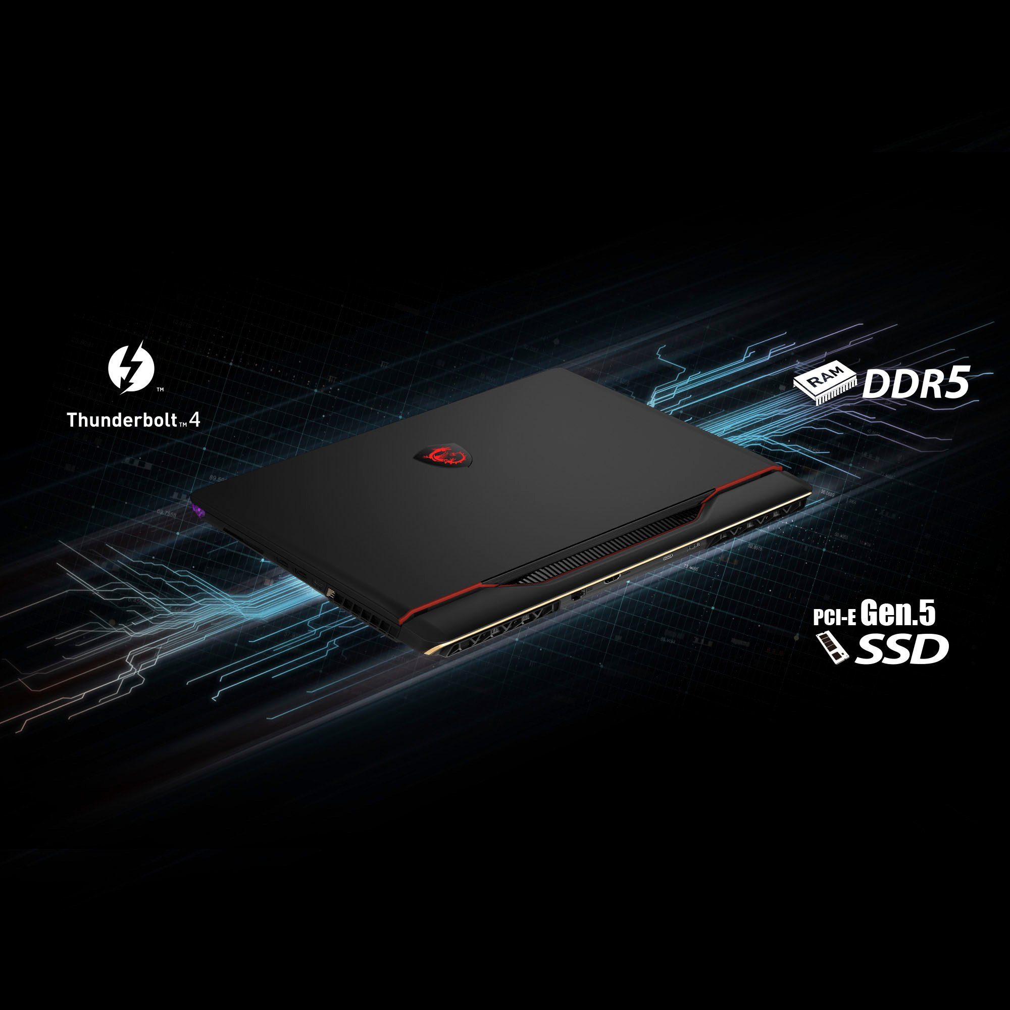 MSI Raider GE68 HX 13VG-037 Gaming-Notebook (40,6 cm/16 Zoll, Intel Core i7 13700HX, GeForce RTX 4070, 2000 GB SSD)