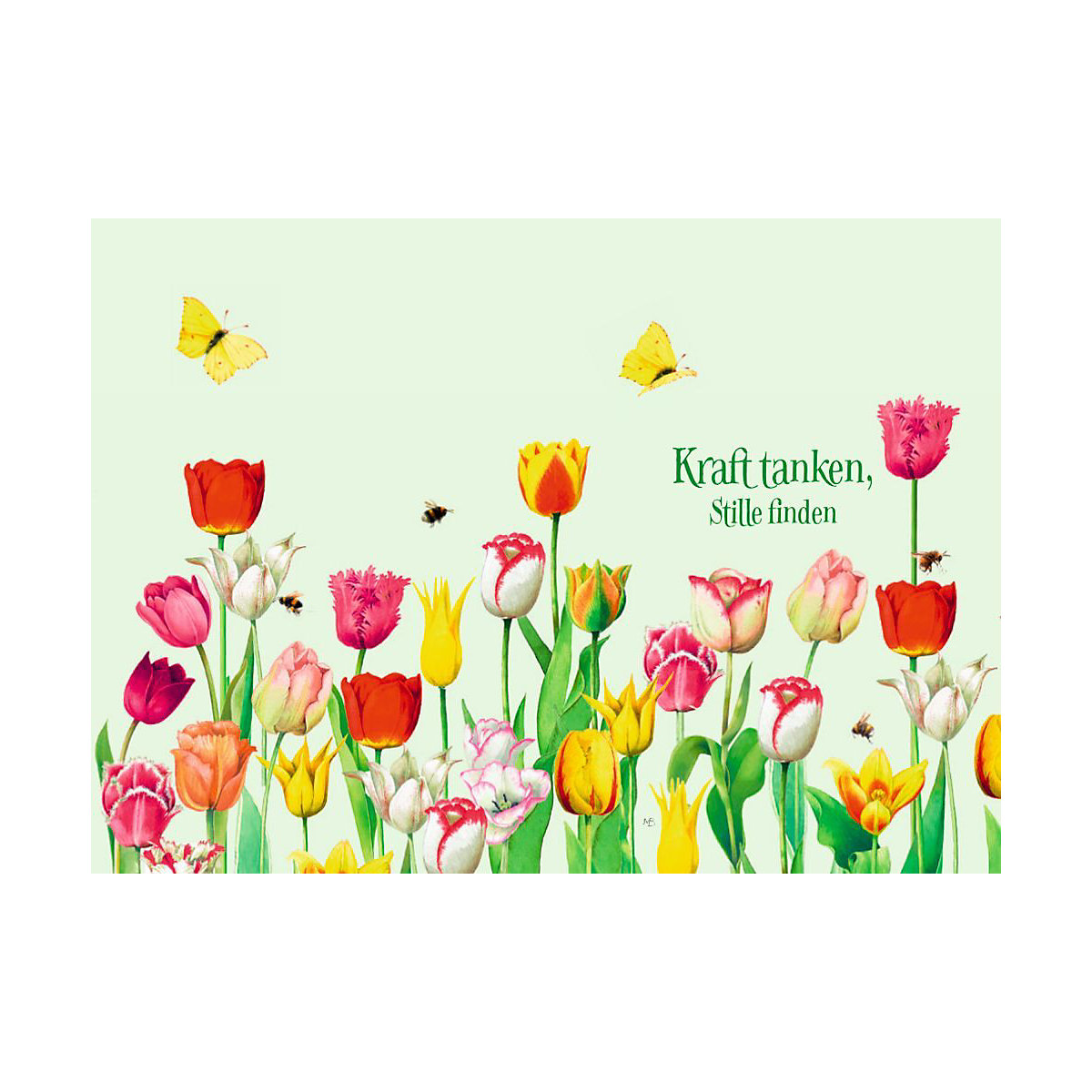 Wo Blumen blühen, da lächelt die Welt