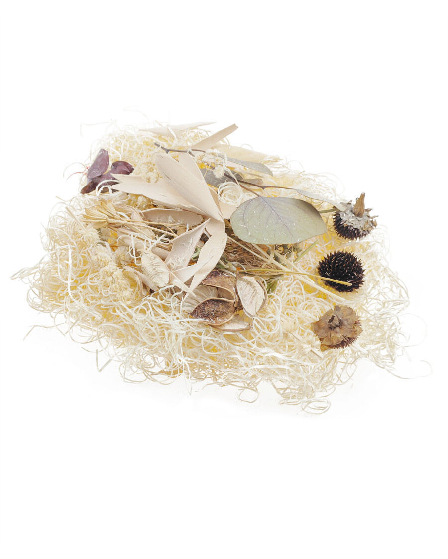 Potpourri