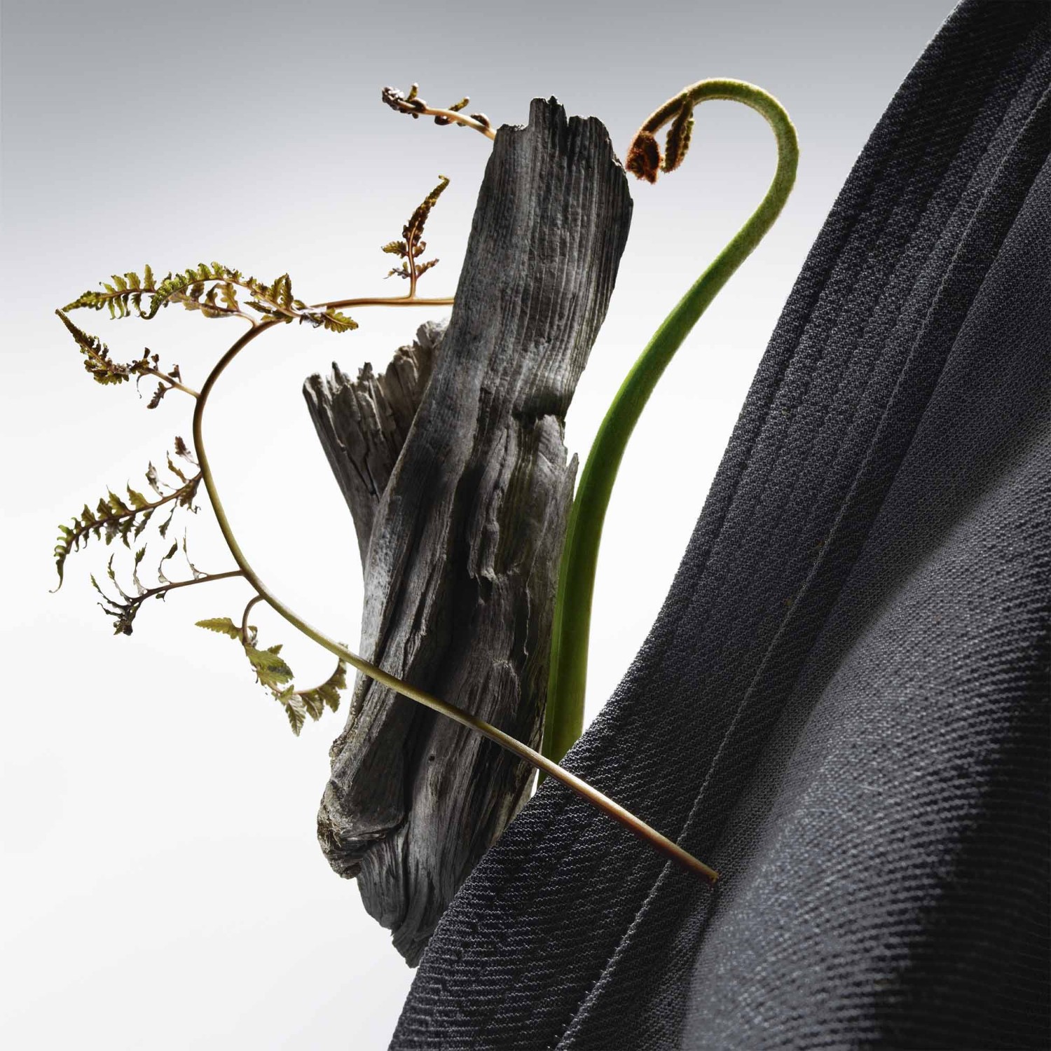 Hugo Boss Energy Fern