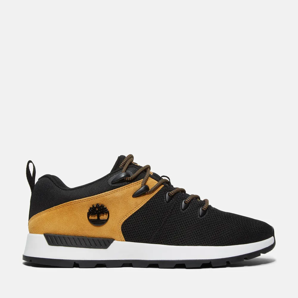 Timberland Sprint Trekker Low top TB0A6DC1EF01 / schwarz