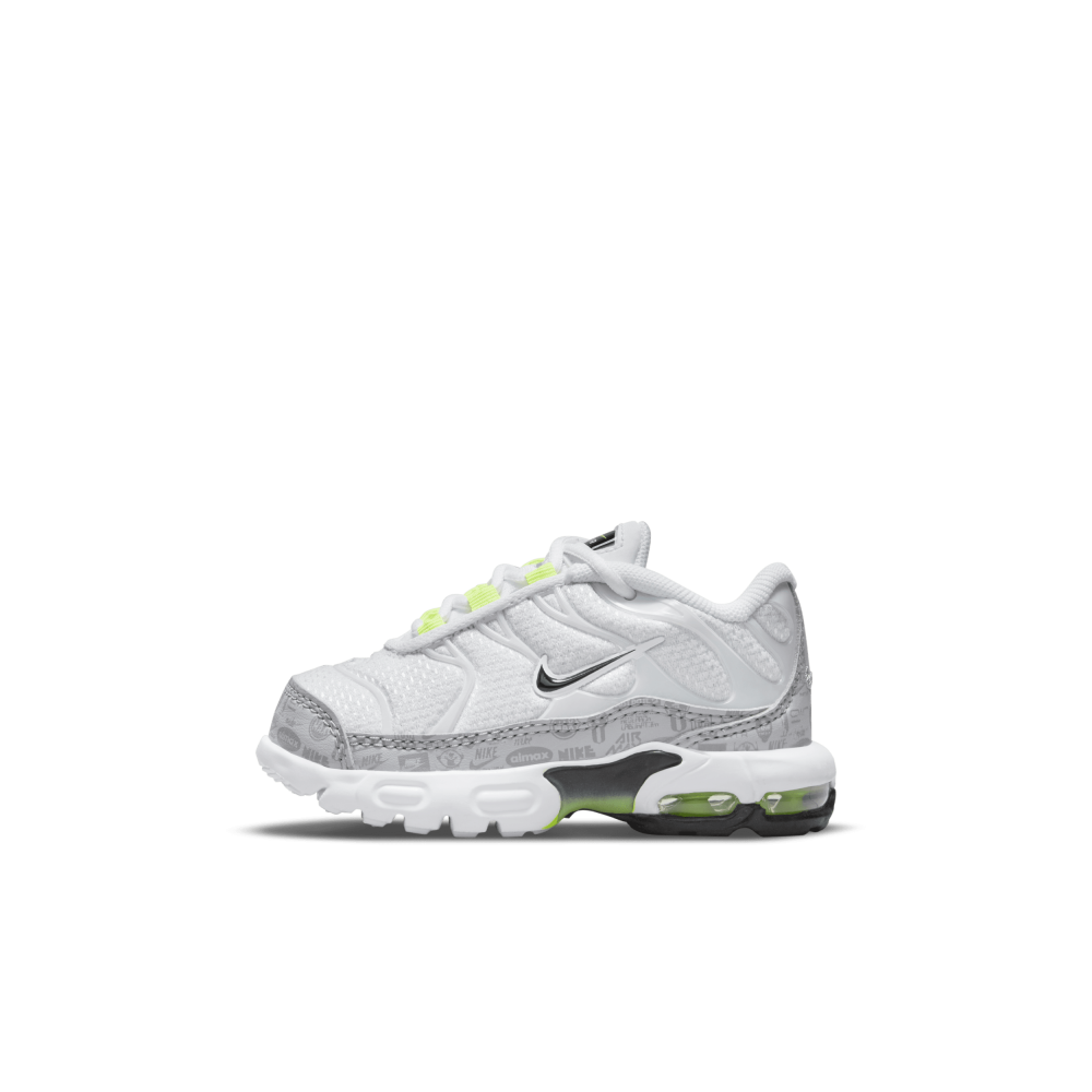Nike Air Max Plus CD0611-015 / grau