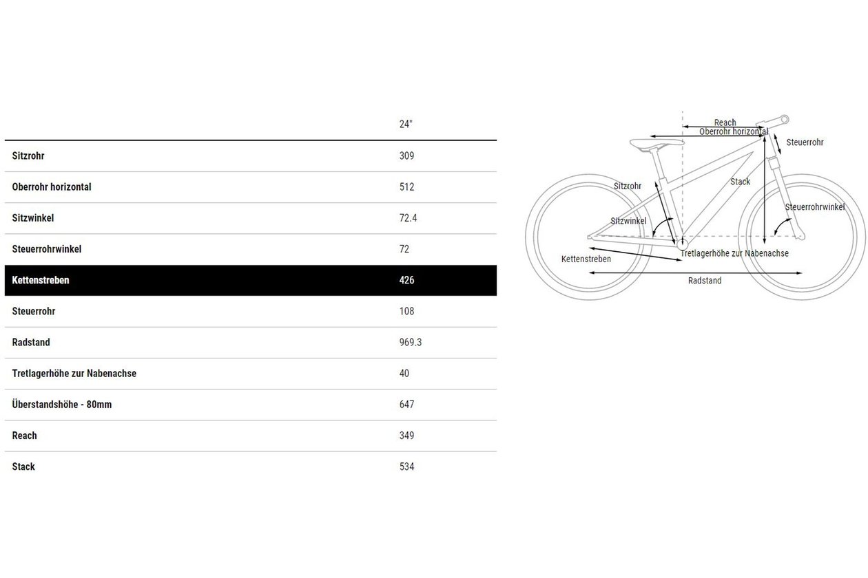 Cube Acid 240 Disc Allroad - 2023 - 24 Zoll - Diamant