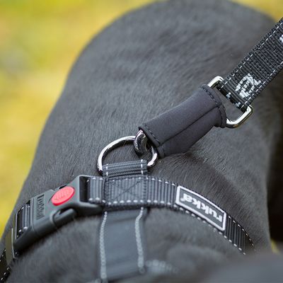 Rukka® Wander-Trainingsleine
