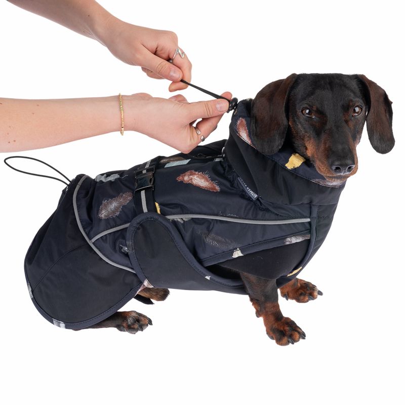 Nomad Tales Bloom Hundemantel Midnight zu TOP-Preisen | bitiba %