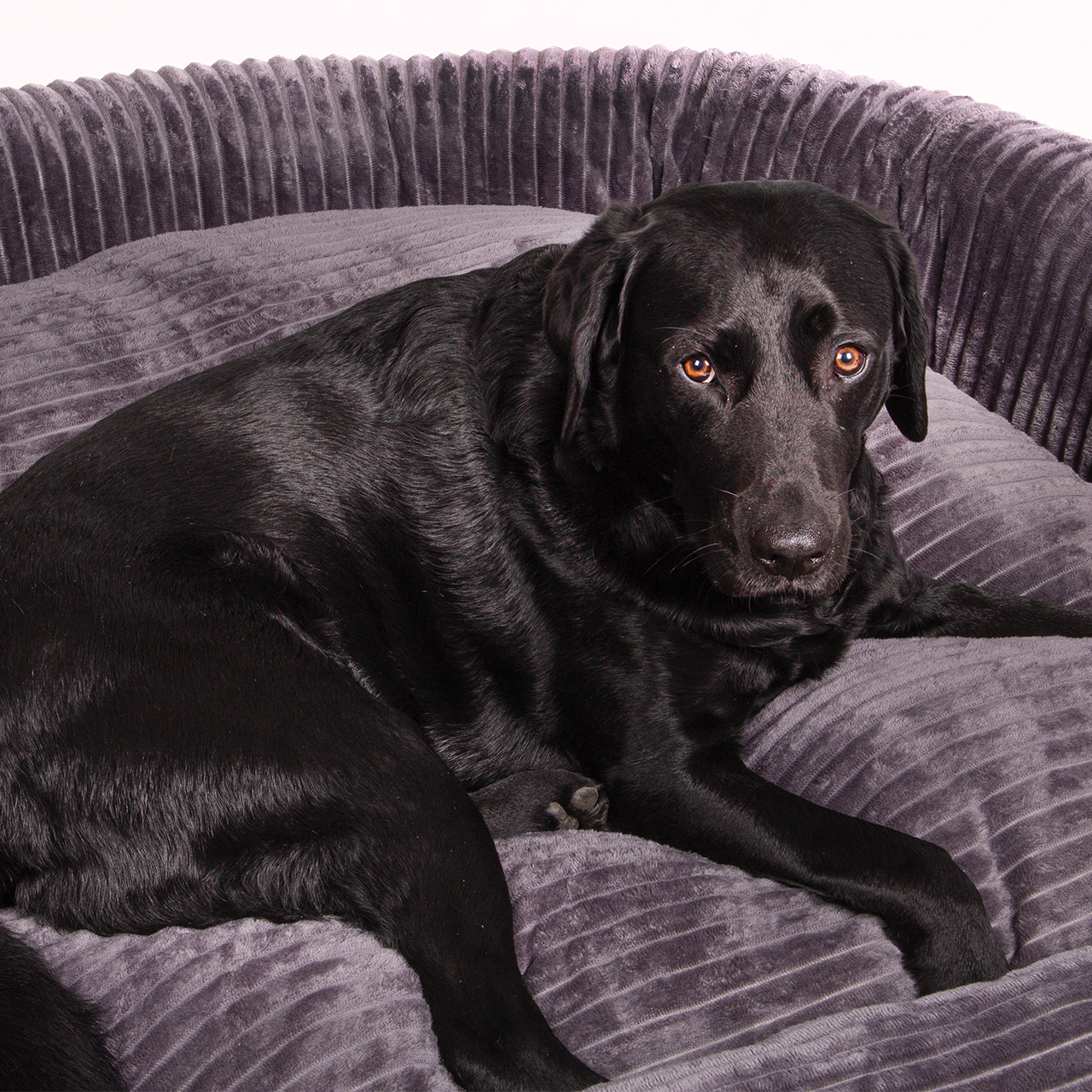 Wallace & Jones Hundebetten Wallace & Jones Hundebett Cordo dunkelgrau L