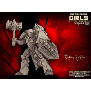 Knights of the Chalice Troopers (SOEM SF)