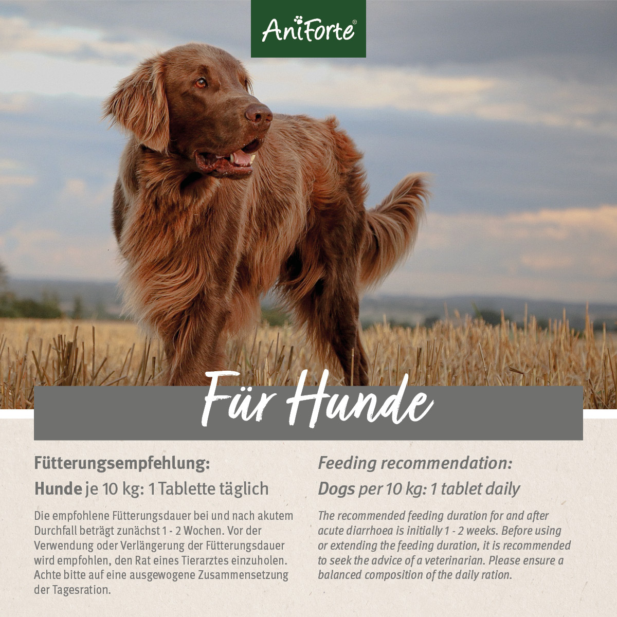 Aniforte Ergänzungsfutter & Aufzucht Aniforte Plus Magen & Darm 90 Tabletten