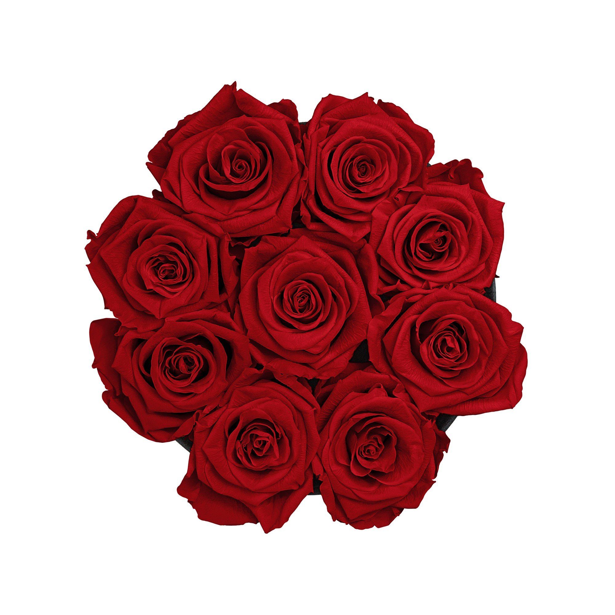 Kunstblume Rosenbox aus Samt mit 8- 12 Infinity Rosen I 3 Jahre haltbar I Echte, duftende konservierte Blumen I by Raul Richter Infinity Rose, Holy Flowers, Höhe 14 cm