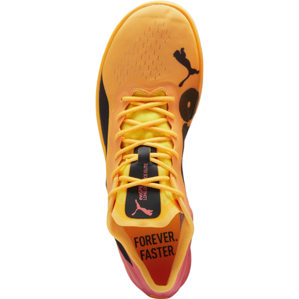 PUMA evoSPEED Long Distance Nitro Elite 2 379557-001 / orange