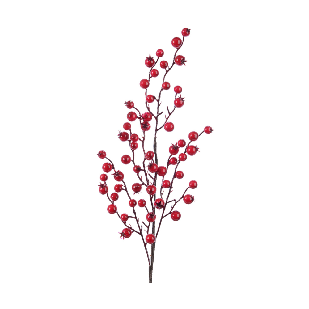 Beerenzweig rot7braun