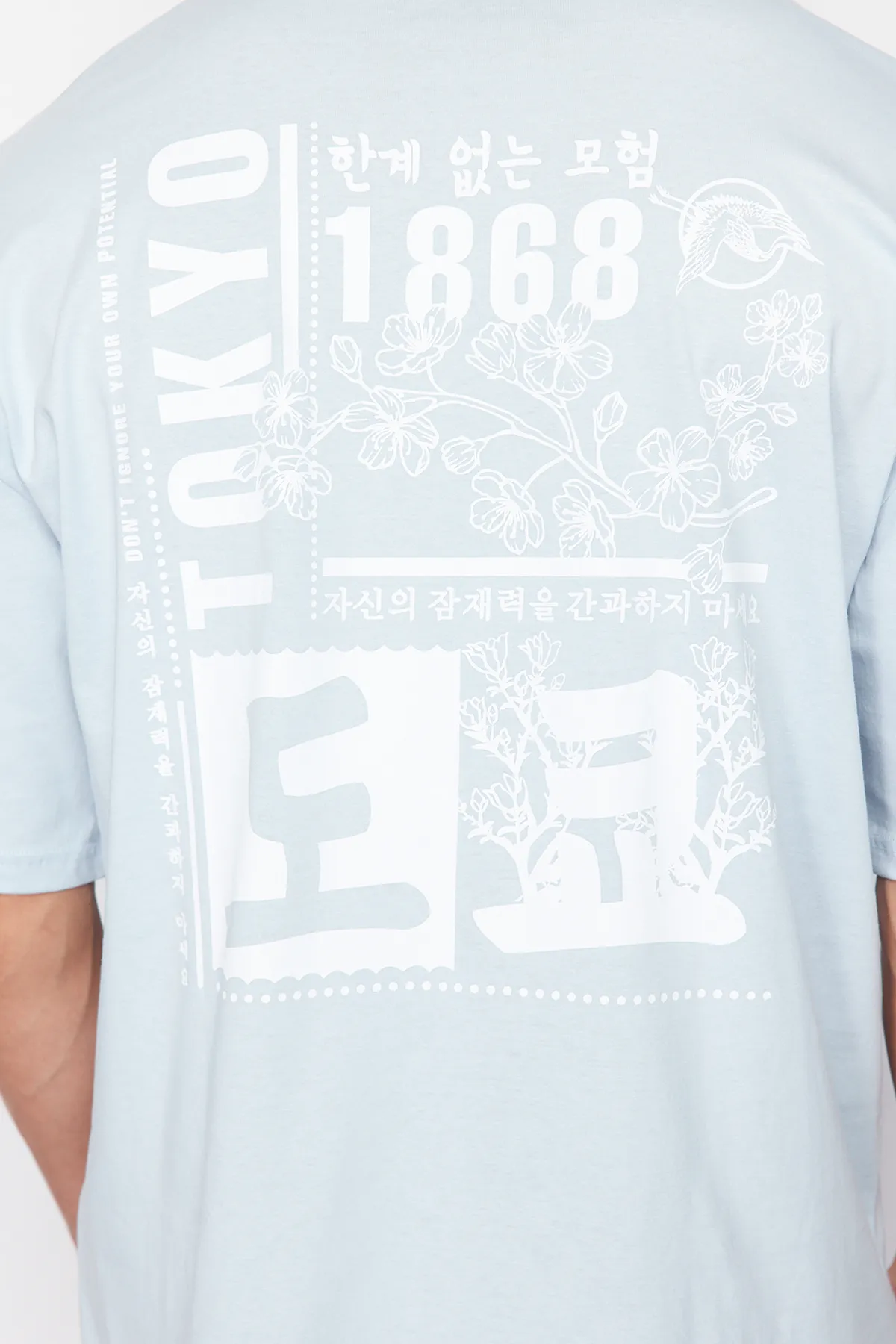 Trendyol Collection  Hellblaues, übergroßes/weit geschnittenes T-Shirt aus 100 % Baumwolle mit Fernost-Aufdruck TMNSS23TS00170