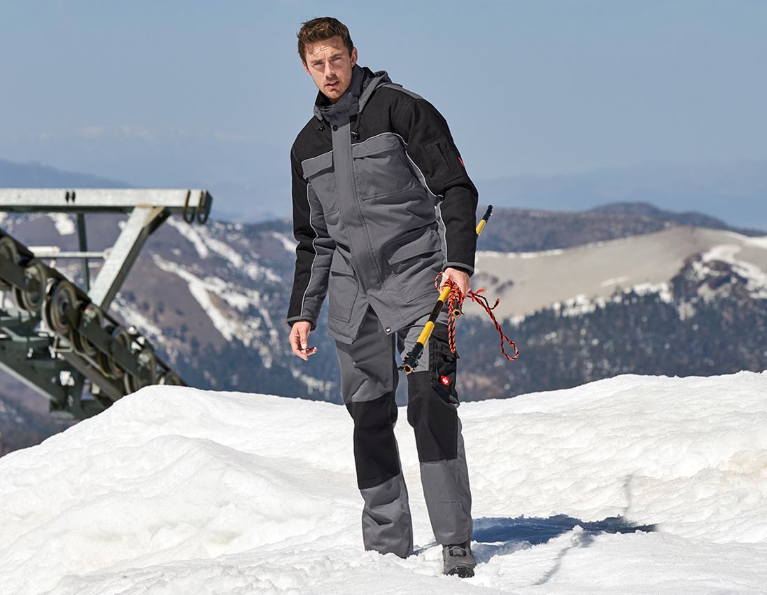 Parka e.s.image