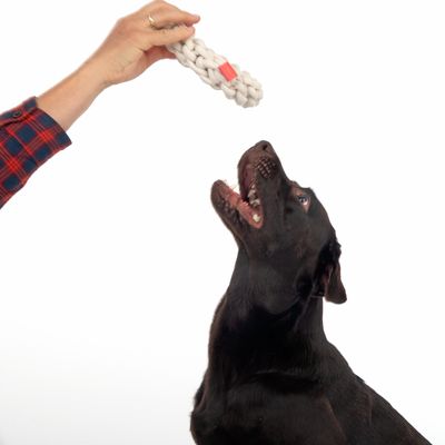 TIAKI Hundespielzeug Rope Ring