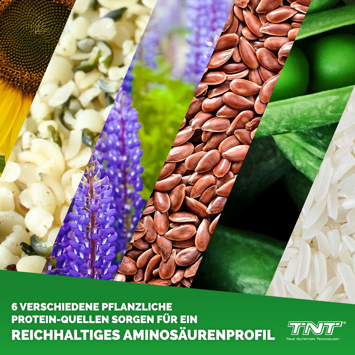 Planto Six - veganes Mehrkomponenten Protein aus 6 Eiweißquellen