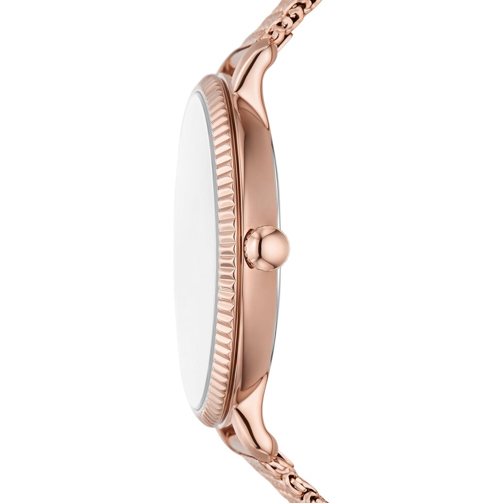 Fossil Montre pour femme Acier inoxydable Montre