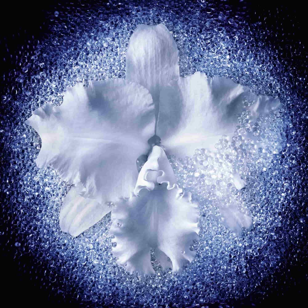 Guerlain Orchidée Impériale Micro-Lift Concentrate