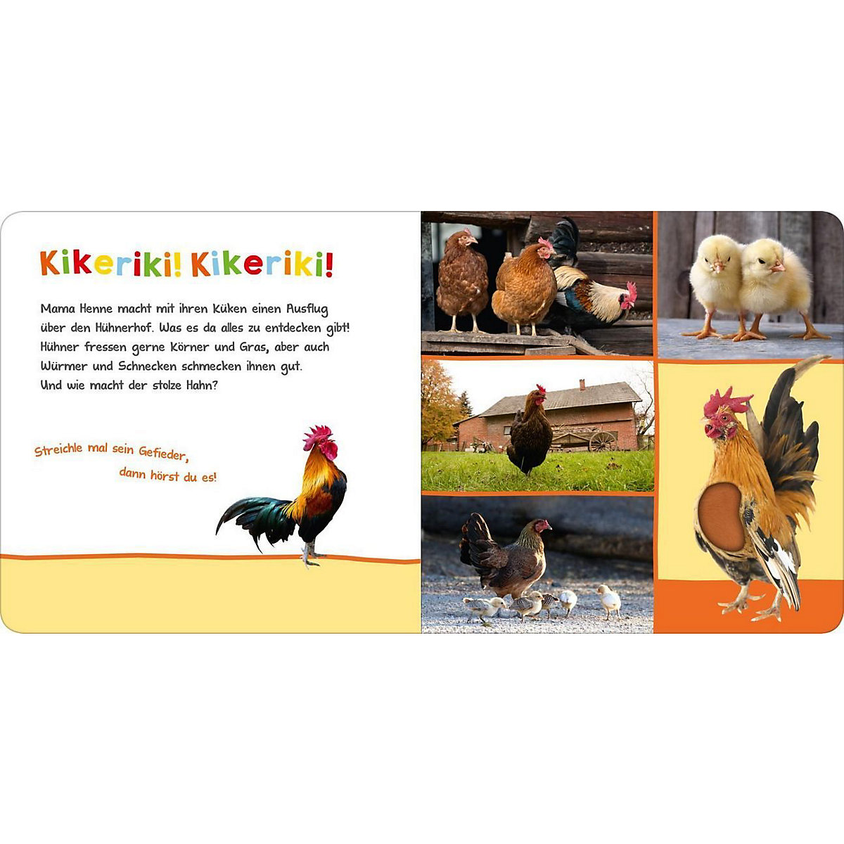 Hör mal rein, wer kann das sein - Im Stall