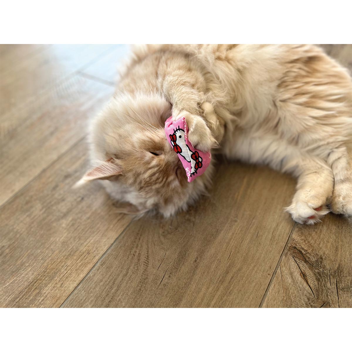 Aumüller Katzenspielkissen Hello Kitty, 2er Set