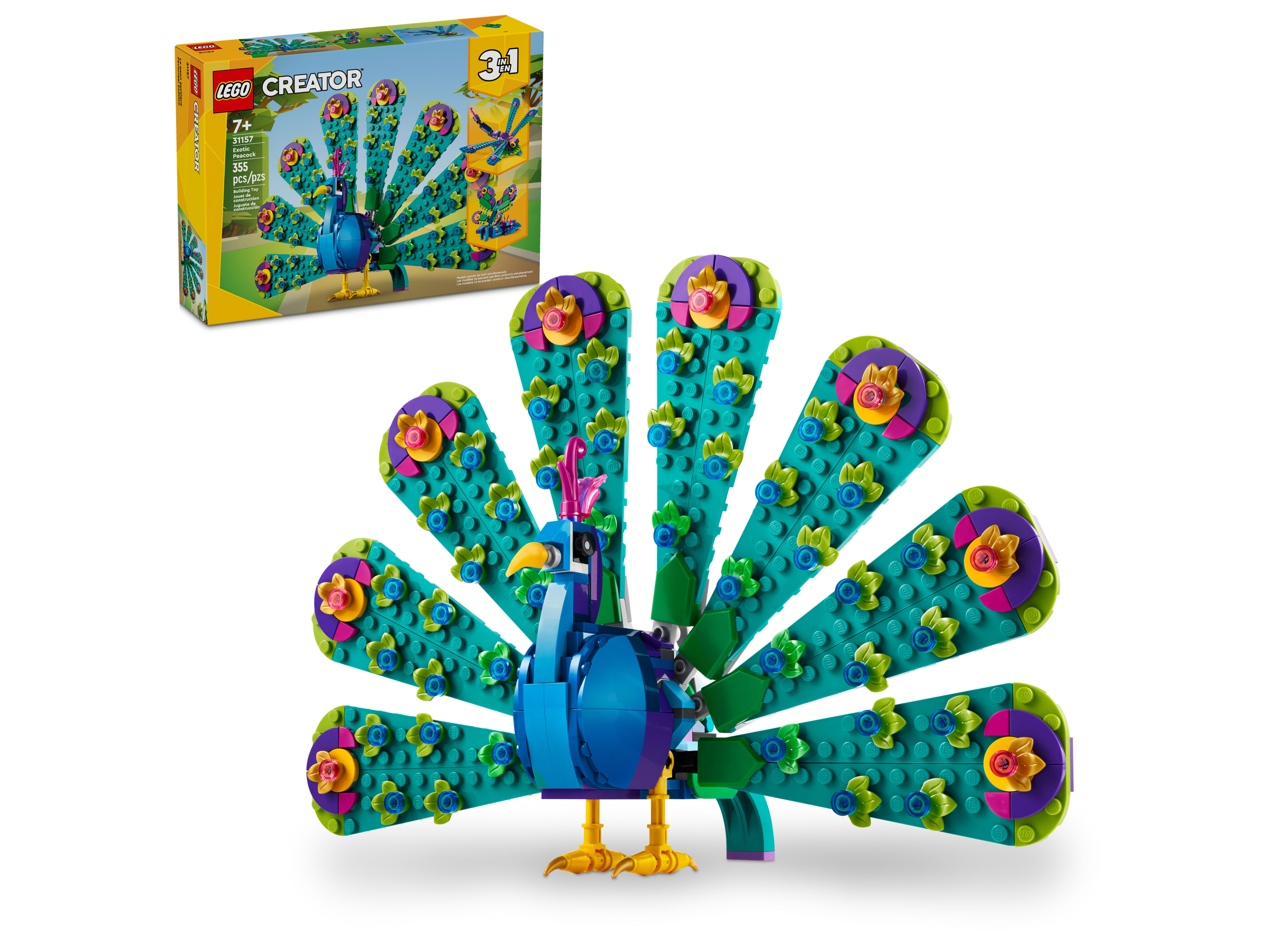Exotischer Pfau 31157