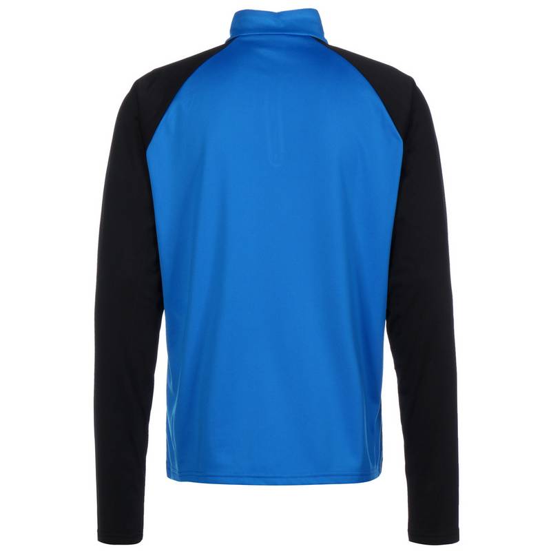 PUMA TeamLIGA 1/4 Zip Funktionssweatshirt Herren