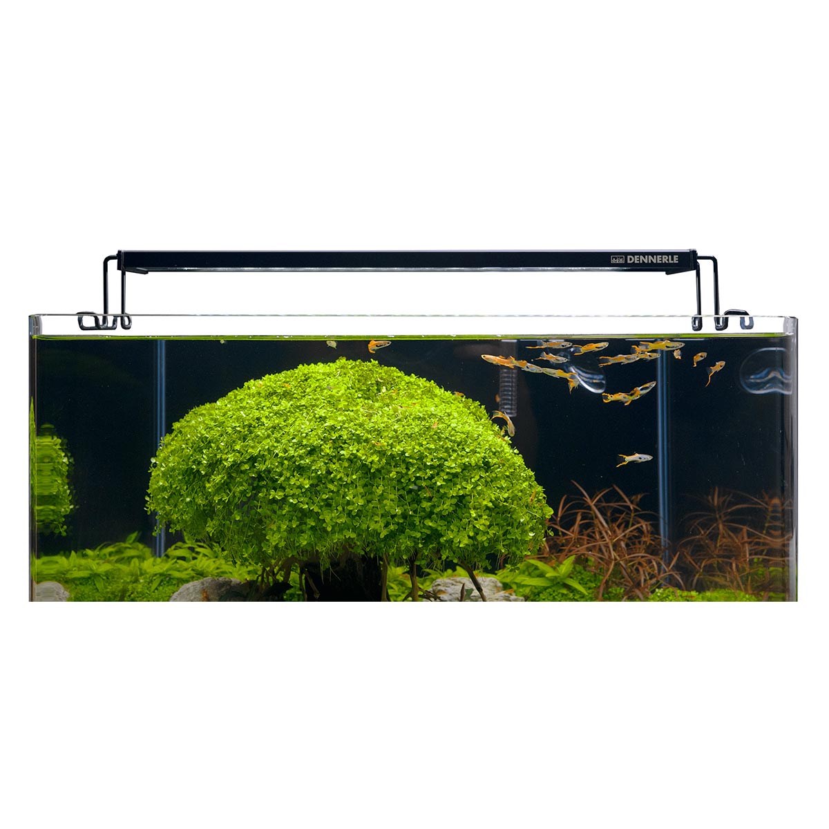 Dennerle Aquarium LED Trocal Flat günstig kaufen